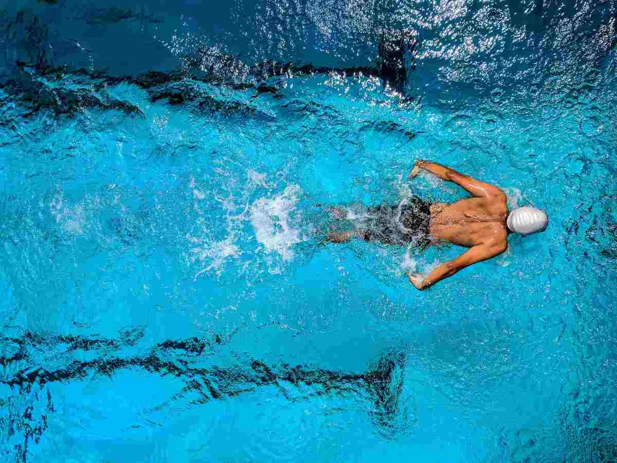 verbos irregulares en ingles swim swam swum