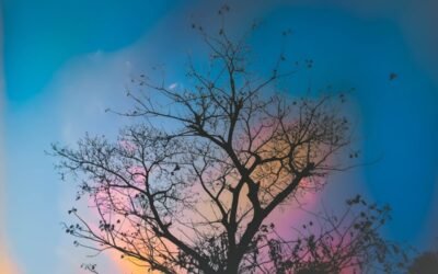 Lectura corta en inglés para nivel intermedio